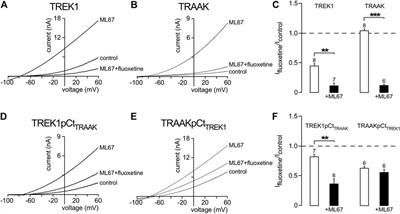 Convergence of Multiple Stimuli to a Single Gate in TREK1 and TRAAK Potassium Channels